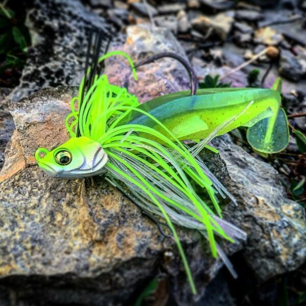 Skirted Jig Head with soft plastic